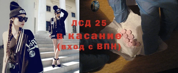 шишки Нея