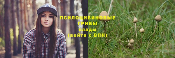 скорость Абаза